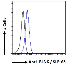 BLNK Antibody - BLNK antibody flow cytometric analysis of paraformaldehyde fixed Daudi cells (blue line), permeabilized with 0.5% Triton. Primary incubation 1hr (10ug/ml) followed by Alexa Fluor 488 secondary antibody (1ug/ml). IgG control: Unimmunized goat IgG (black line) followed by Alexa Fluor 488 secondary antibody.