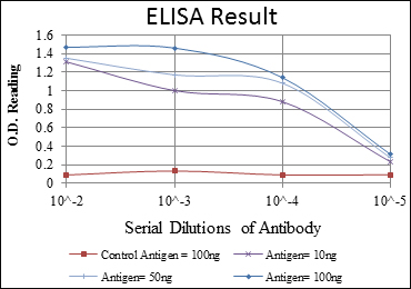 BLNK Antibody - Red: Control Antigen (100ng); Purple: Antigen (10ng); Green: Antigen (50ng); Blue: Antigen (100ng);