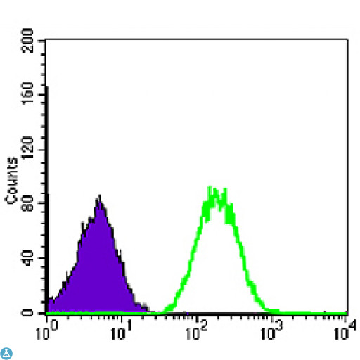 BLNK Antibody - Flow cytometric (FCM) analysis of NIH/3T3 cells using BLNK Monoclonal Antibody (green) and negative control (purple).
