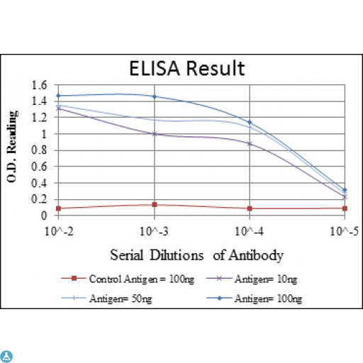 BLNK Antibody - ELISA analysis of BLNK antibody.