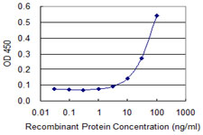 BLVRA Antibody - Detection limit for recombinant GST tagged BLVRA is 3 ng/ml as a capture antibody.
