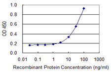 BM022 / MRPL1 Antibody - Detection limit for recombinant GST tagged MRPL1 is 1 ng/ml as a capture antibody.
