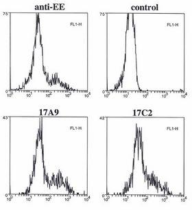 BMF Antibody - Flow cytometry data of overexpressed EE-tagged Bmf in 293T cells, fixed with 1% PFA, permeabilized with saponin and stained intracellularly with anti-Bmf (mouse/rat), mAb (17A9) , control or positive control anti-EE.