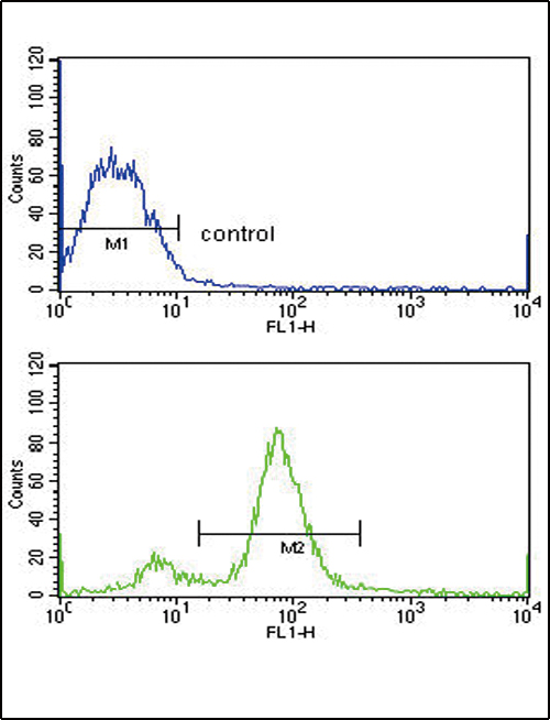 BMI1 / PCGF4 Antibody - BMI1 Antibody flow cytometry of MCF-7 cells (bottom histogram) compared to a negative control cell (top histogram). FITC-conjugated goat-anti-rabbit secondary antibodies were used for the analysis.