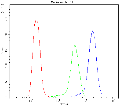 BMP5 Antibody - Flow Cytometry analysis of U20S cells using anti-Human BMP5 antibody. Overlay histogram showing U20S cells stained with anti-Human BMP5 antibody (Blue line). The cells were blocked with 10% normal goat serum. And then incubated with rabbit anti-Human BMP5 Antibody (1µg/10E6 cells) for 30 min at 20°C. DyLight®488 conjugated goat anti-rabbit IgG (5-10µg/10E6 cells) was used as secondary antibody for 30 minutes at 20°C. Isotype control antibody (Green line) was rabbit IgG (1µg/10E6 cells) used under the same conditions. Unlabelled sample (Red line) was also used as a control.