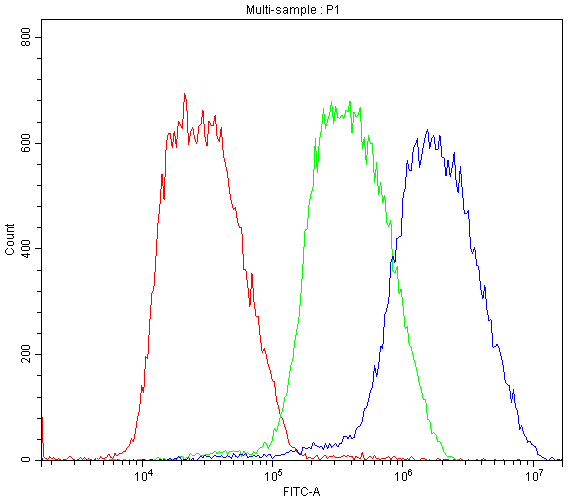 BMP6 Antibody - Flow Cytometry analysis of Hela cells using anti-BMP6 antibody. Overlay histogram showing Hela cells stained with anti-BMP6 antibody (Blue line). The cells were blocked with 10% normal goat serum. And then incubated with rabbit anti-BMP6 Antibody (1µg/10E6 cells) for 30 min at 20°C. DyLight®488 conjugated goat anti-rabbit IgG (5-10µg/10E6 cells) was used as secondary antibody for 30 minutes at 20°C. Isotype control antibody (Green line) was rabbit IgG (1µg/10E6 cells) used under the same conditions. Unlabelled sample (Red line) was also used as a control.