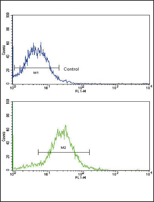 BMPR2 Antibody - Flow cytometric of HepG2 cells using BMPR2 Antibody (bottom histogram) compared to a negative control cell (top histogram). FITC-conjugated goat-anti-rabbit secondary antibodies were used for the analysis.
