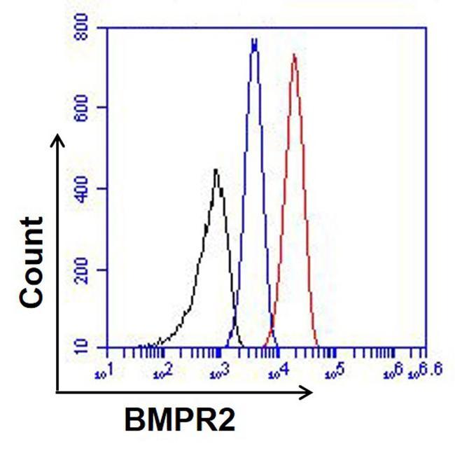 BMPR2 Antibody - BMPR2 Antibody in Flow Cytometry (Flow)
