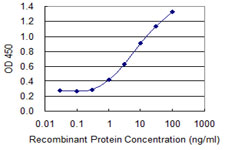 BNC1 / Basonuclin Antibody - Detection limit for recombinant GST tagged BNC1 is 0.3 ng/ml as a capture antibody.