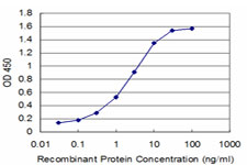 BOULE / BOLL Antibody - Detection limit for recombinant GST tagged BOLL is approximately 0.3 ng/ml as a capture antibody.