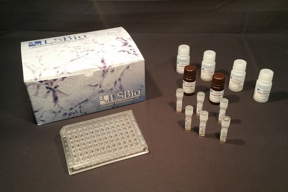 AMH / Anti-Mullerian Hormone ELISA Kit