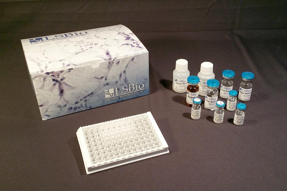 CFH / Complement Factor H ELISA Kit