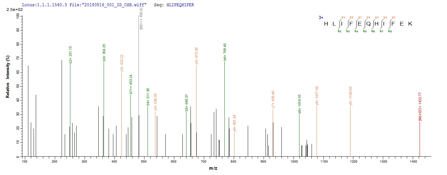 FDX1 / ADX Protein - Based on the SEQUEST from database of E.coli host and target protein, the LC-MS/MS Analysis result of Recombinant Bovine Adrenodoxin, mitochondrial(FDX1) could indicate that this peptide derived from E.coli-expressed Bos taurus (Bovine) FDX1.