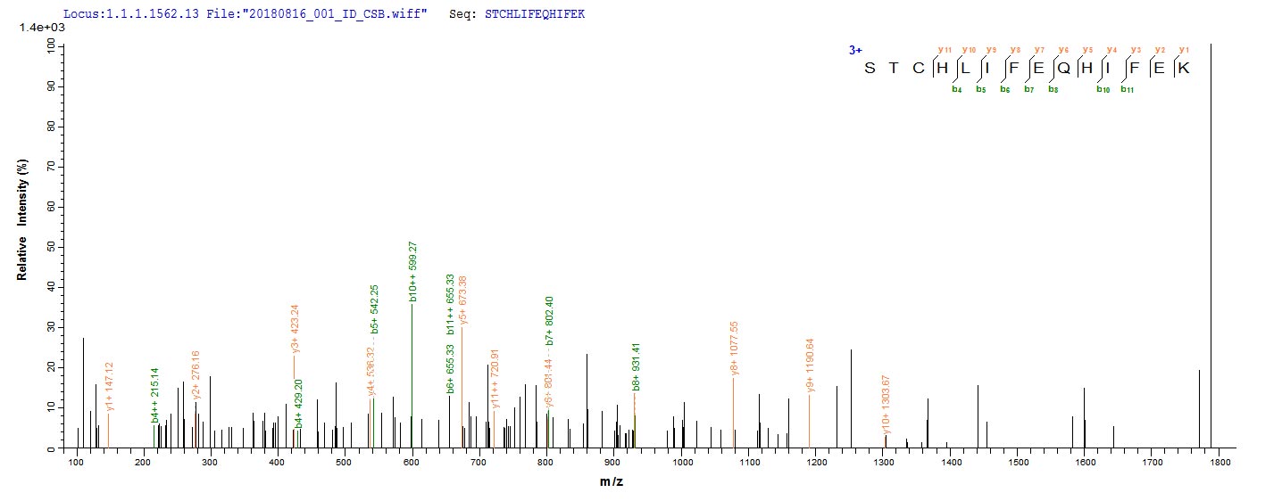 FDX1 / ADX Protein - Based on the SEQUEST from database of E.coli host and target protein, the LC-MS/MS Analysis result of Recombinant Bovine Adrenodoxin, mitochondrial(FDX1) could indicate that this peptide derived from E.coli-expressed Bos taurus (Bovine) FDX1.