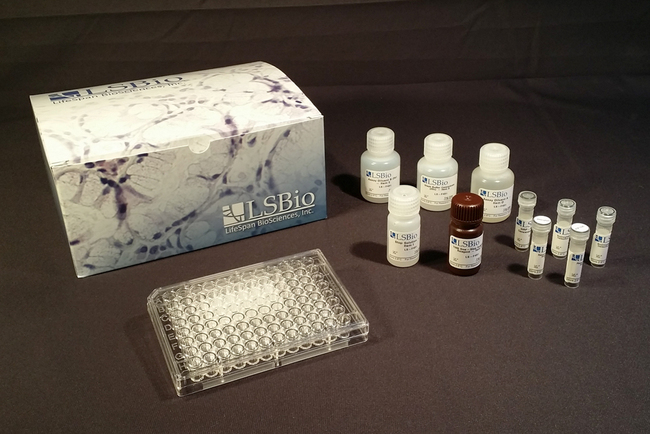 THPO / TPO / Thrombopoietin ELISA Kit