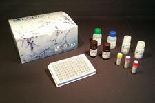 LPO / Lactoperoxidase ELISA Kit