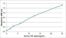 TNF Alpha Protein - Recombinant bovine TNF alpha detected using Rabbit anti Bovine TNF alpha as the capture reagent and Rabbit anti Bovine TNF alpha:Biotin as the detection reagent followed by Streptavidin:HRP.