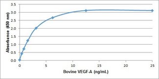 VEGFA / VEGF Protein - Recombinant bovine VEGF-A detected using Rabbit anti Bovine VEGF-A as the capture reagent and Rabbit anti Bovine VEGF-A:Biotin as the detection reagent followed by Streptavidin:HRP.