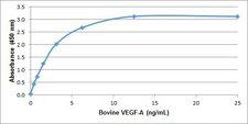 VEGFA / VEGF Protein - Recombinant bovine VEGF-A detected using Rabbit anti Bovine VEGF-A as the capture reagent and Rabbit anti Bovine VEGF-A:Biotin as the detection reagent followed by Streptavidin:HRP.