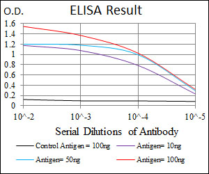 BPIFB1 Antibody - Red: Control Antigen (100ng); Purple: Antigen (10ng); Green: Antigen (50ng); Blue: Antigen (100ng);