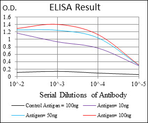 BRCA1 Antibody - Red: Control Antigen (100ng); Purple: Antigen (10ng); Green: Antigen (50ng); Blue: Antigen (100ng);