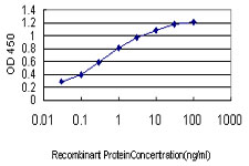 BRD2 / RING3 Antibody - Detection limit for recombinant GST tagged BRD2 is approximately 0.03 ng/ml as a capture antibody.