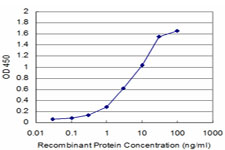 BRD3 Antibody - Detection limit for recombinant GST tagged BRD3 is approximately 0.3 ng/ml as a capture antibody.