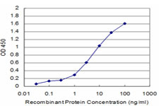 BRD3 Antibody - Detection limit for recombinant GST tagged BRD3 is approximately 0.1 ng/ml as a capture antibody.