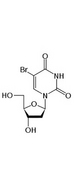 BrdU Antibody - Bromodeoxyuridine (BrdU) chemical structure representation.