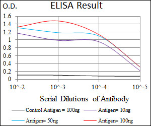 BRN2 / POU3F2 Antibody - Red: Control Antigen (100ng); Purple: Antigen (10ng); Green: Antigen (50ng); Blue: Antigen (100ng);