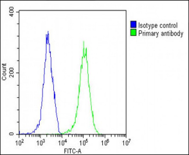 BRUCE / BIRC6 Antibody - Overlay histogram showing Hela cells stained with BIRC6 Antibody (C-Term) (green line). The cells were fixed with 2% paraformaldehyde (10 min) and then permeabilized with 90% methanol for 10 min. The cells were then icubated in 2% bovine serum albumin to block non-specific protein-protein interactions followed by the antibody (BIRC6 Antibody (C-Term), 1:25 dilution) for 60 min at 37°C. The secondary antibody used was Goat-Anti-Rabbit IgG, DyLight® 488 Conjugated Highly Cross-Adsorbed (OE188374) at 1/200 dilution for 40 min at 37°C. Isotype control antibody (blue line) was rabbit IgG1 (1µg/1x10^6 cells) used under the same conditions. Acquisition of >10, 000 events was performed.