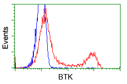 BTK Antibody - HEK293T cells transfected with either pCMV6-ENTRY BTK (Red) or empty vector control plasmid (Blue) were immunostained with anti-BTK mouse monoclonal, and then analyzed by flow cytometry.