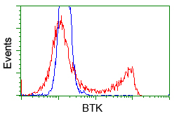 BTK Antibody - HEK293T cells transfected with either pCMV6-ENTRY BTK (Red) or empty vector control plasmid (Blue) were immunostained with anti-BTK mouse monoclonal, and then analyzed by flow cytometry.