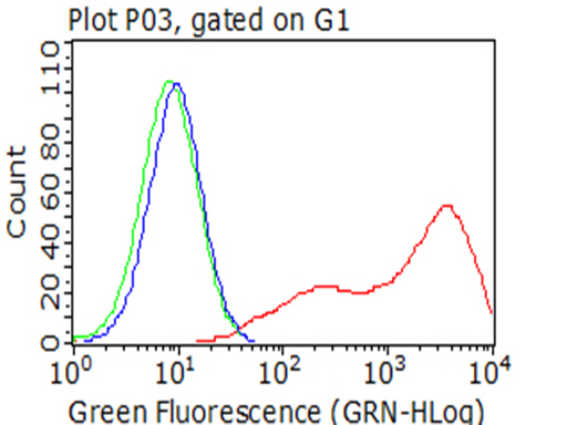 BTLA / CD272 Antibody - Flow cytometric analysis of living 293T cells transfected with BTLA overexpression plasmid , Red)/empty vector  Blue) using anti-BTLA antibody. Cells incubated with a non-specific antibody. (Green) were used as isotype control. (1:100)