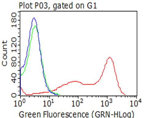 BTLA / CD272 Antibody - Flow cytometric analysis of living 293T cells transfected with BTLA overexpression plasmid , Red)/empty vector  Blue) using anti-BTLA antibody. Cells incubated with a non-specific antibody. (Green) were used as isotype control. (1:100)