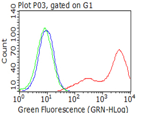 BTLA / CD272 Antibody - Flow cytometric analysis of living 293T cells transfected with BTLA overexpression plasmid , Red)/empty vector  Blue) using anti-BTLA antibody. Cells incubated with a non-specific antibody. (Green) were used as isotype control. (1:100)