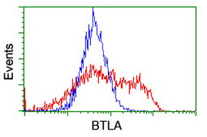 BTLA / CD272 Antibody - HEK293T cells transfected with either overexpress plasmid (Red) or empty vector control plasmid (Blue) were immunostained by anti-BTLA antibody, and then analyzed by flow cytometry.