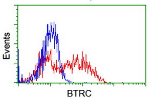 BTRCP / BETA-TRCP Antibody - HEK293T cells transfected with either overexpress plasmid (Red) or empty vector control plasmid (Blue) were immunostained by anti-BTRC antibody, and then analyzed by flow cytometry.