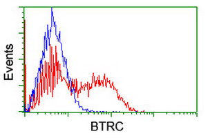 BTRCP / BETA-TRCP Antibody - HEK293T cells transfected with either overexpress plasmid (Red) or empty vector control plasmid (Blue) were immunostained by anti-BTRC antibody, and then analyzed by flow cytometry.