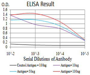 BUB1 Antibody - Black line: Control Antigen (100 ng);Purple line: Antigen (10ng); Blue line: Antigen (50 ng); Red line:Antigen (100 ng)
