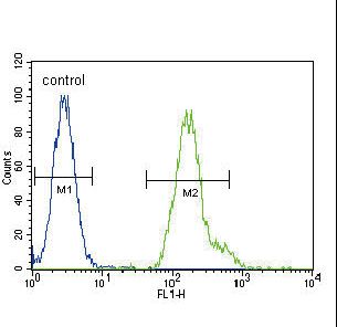 C/EBP Alpha / CEBPA Antibody - CEBPA Antibody flow cytometry of HeLa cells (right histogram) compared to a negative control cell (left histogram). FITC-conjugated goat-anti-rabbit secondary antibodies were used for the analysis.