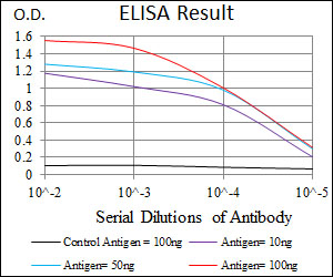 C/EBP Alpha / CEBPA Antibody - Red: Control Antigen (100ng); Purple: Antigen (10ng); Green: Antigen (50ng); Blue: Antigen (100ng);