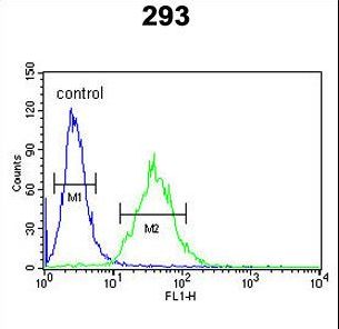 C/EBP Beta / CEBPB Antibody - CEBPB Antibody flow cytometry of 293 cells (right histogram) compared to a negative control cell (left histogram). FITC-conjugated goat-anti-rabbit secondary antibodies were used for the analysis.
