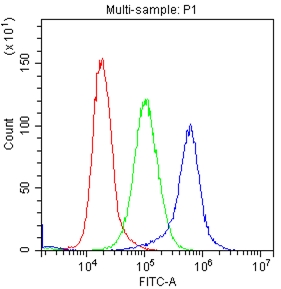 c-Kit / CD117 Antibody - Flow Cytometry analysis of K562 cells using anti-C-Kit antibody. Overlay histogram showing K562 cells stained with anti-C-Kit antibody (Blue line). The cells were blocked with 10% normal goat serum. And then incubated with rabbit anti-C-Kit Antibody (1µg/1x106 cells) for 30 min at 20°C. DyLight®488 conjugated goat anti-rabbit IgG (5-10µg/1x106 cells) was used as secondary antibody for 30 minutes at 20°C. Isotype control antibody (Green line) was rabbit IgG (1µg/1x106) used under the same conditions. Unlabelled sample (Red line) was also used as a control.