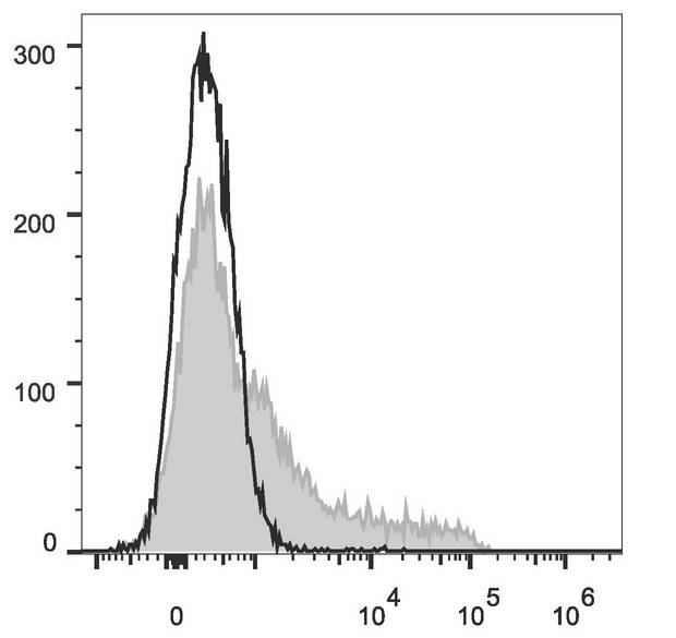 c-Kit / CD117 Antibody