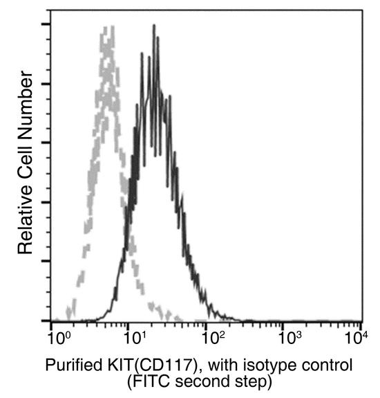 c-Kit / CD117 Antibody - Flow cytometric analysis of Human KIT (CD117) expression on HEL92 cells. Cells were stained with purified anti-Human KIT (CD117), then a FITC-conjugated second step antibody. The fluorescence histograms were derived from gated events with the forward and side light-scatter characteristics of intact cells.