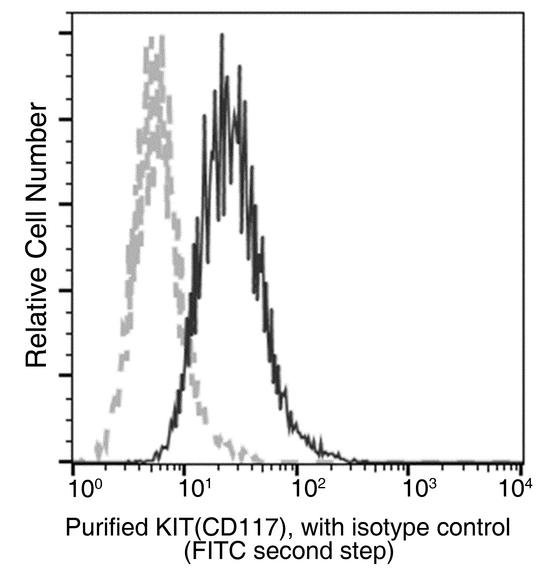 c-Kit / CD117 Antibody - Flow cytometric analysis of Human KIT (CD117) expression on HEL92 cells. Cells were stained with purified anti-Human KIT (CD117), then a FITC-conjugated second step antibody. The fluorescence histograms were derived from gated events with the forward and side light-scatter characteristics of intact cells.