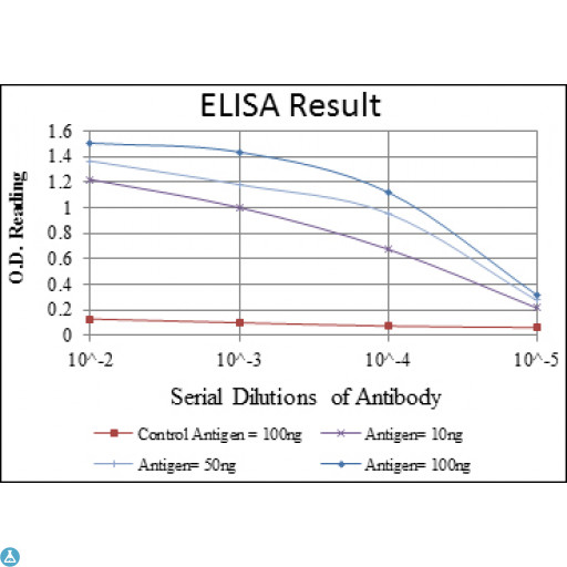 c-Kit / CD117 Antibody - ELISA analysis of c-Kit antibody.