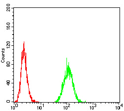 c-Met Antibody - Flow cytometric analysis of MCF-7 cells using MET mouse mAb (green) and negative control (red).