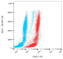 C10orf26 / OPAL1 Antibody - Flow cytometry analysis of OPAL1 in human peripheral blood + lyophilized SP2 cells using mouse monoclonal antibody anti-OPAL1 (OPAL1-01) PE.